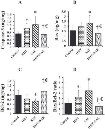 Fig. 2. Effects of HIIT and SAE on apoptosis indices in tumor tissue. (A) Caspase-3; (B) Bax; (C) Bcl-2 and (D) Bax/Bcl-2 ratio