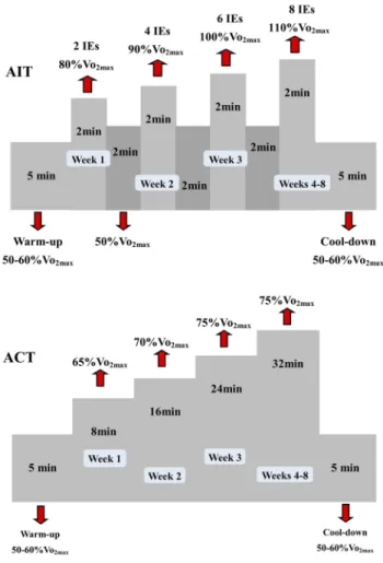 Fig. 1. Schematic representation of aerobic interval and continuous training protocols