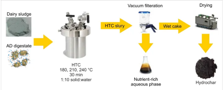 Fig. 2. Hydrothermal carbonization (HTC) experimental setup used in the present study