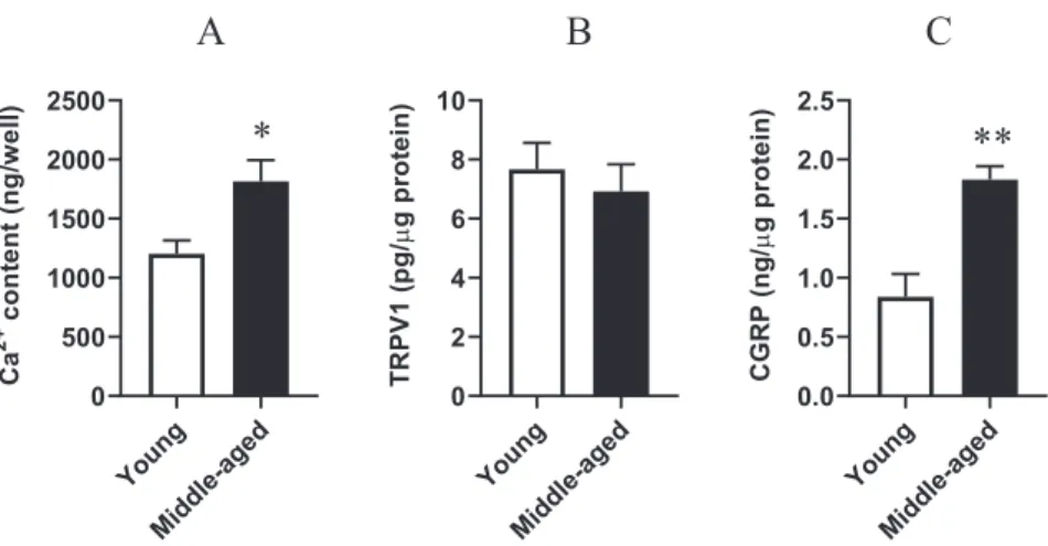 Fig. 3. Changes in the calcium (panel A), Transient Receptor Potential Vanilloid 1 (TRPV1) (panel B) and Calcitonin Gene Related Peptide (CGRP) levels of middle-aged and young colon (panel C)