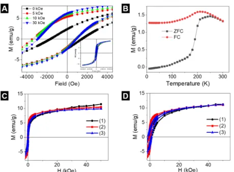 Figure 6. Magnetic characterization. (A) ZFC and FC hysteresis cycles at 5 K of the uncoated IONs