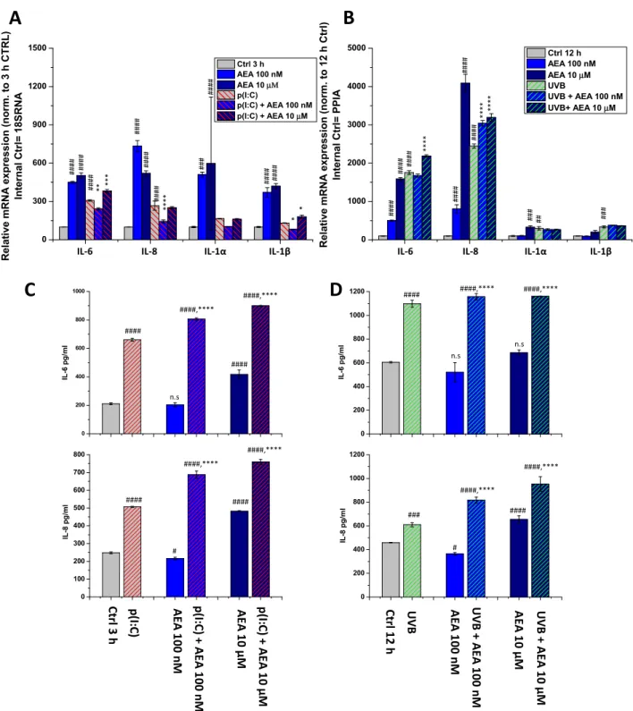 Figure 4. AEA exerts concentration-dependent effects on the inflammatory cytokine expression and release of human  corneal epithelial cells: (A,B) Q-PCR IL-6, IL-8, IL-1α, and IL-1β mRNA expression was determined following 3 h p(I:C)  treatment (A) and 12 