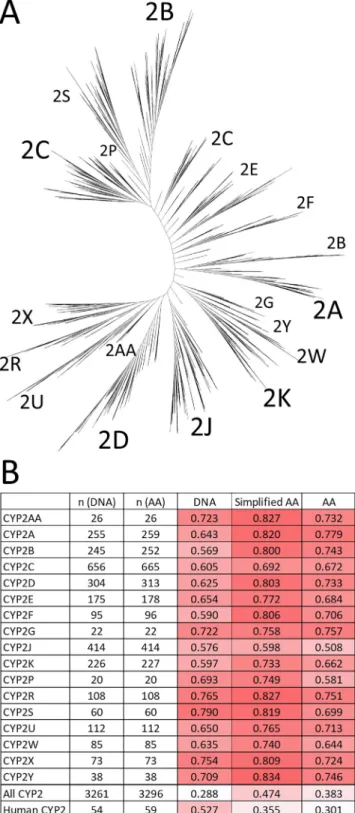 Fig. 8. A) Phylogenetic tree of CYP2 enzymes. B) n-ary similarities of the CYP subfamilies, calculated for DNA, amino acid (AA) and simplified amino acid sequences (average of all six, non-weighted similarity metrics), along with the numbers of compared ob