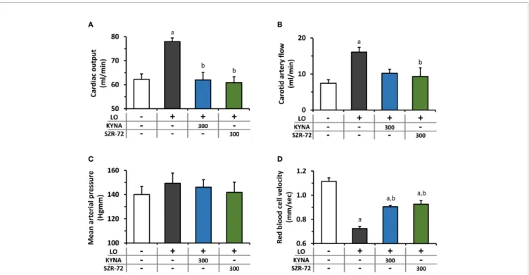 FIGURE 4 | Changes in circulation and haemodynamic parameters during experimental AP and treatments with KYNA and SZR-72