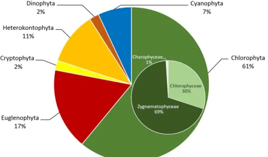 3. ábra A fajok főbb taxonok szerinti megoszlása  Fig. 3 Distribution of species in the major divisions 