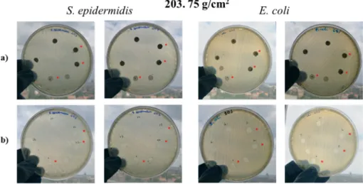 Figure 7. Petri dishes after the first 24 h incubation (a) and Petri dishes after removal of specimen  discs (b)