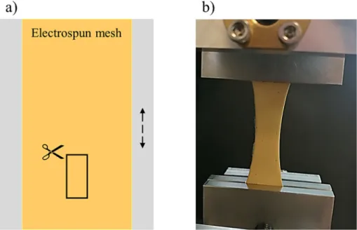 Fig. 2. Sample preparation for mechanical testing: a) box represent test specimen cut from electrospun mesh (arrow indicates rotating direction of cylindrical collector), b) test specimen under load.