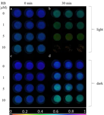Fig. 1   F v /F m  image of thylakoid membranes illuminated with  green + white  light  (panels  a,  b) or kept in darkness (c,  d) for 0 min  (a,  c) and 30  min (b,  d)