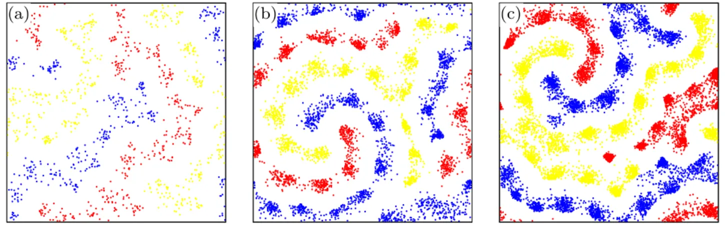 Figure 5. Characteristic spatial distribution of species at ` p = ` r = 0.1, ` m = 0.01 parameter values