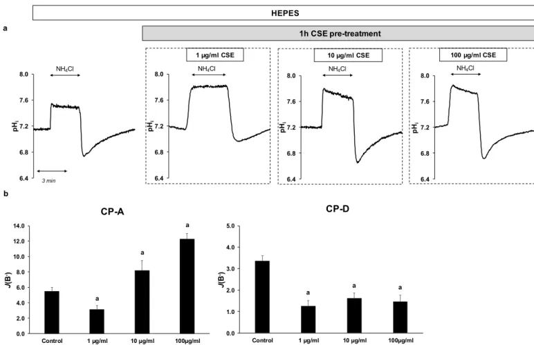 Figure 3. Effects of cigarette smoke extract (CSE) treatment on the activity of Na + /H +  exchanger-1 (NHE-1) in esophageal  cell lines