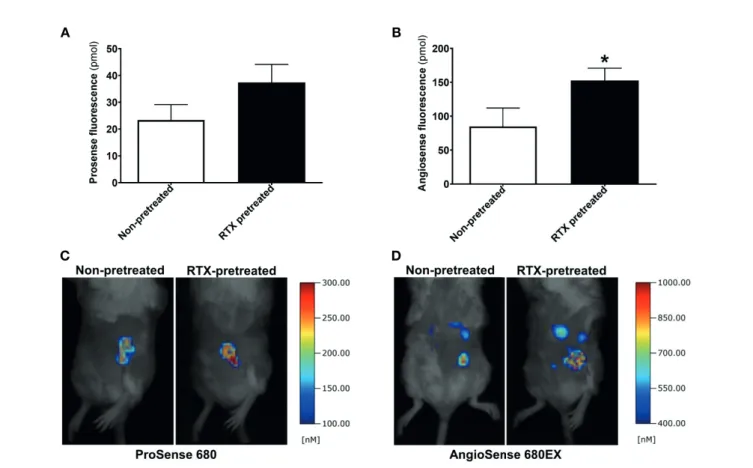 FIGURE 4 | Increased intratumoral vascular leakage in RTX pretreated animals. (A, B) Fluorescent molecular tomography (FMT) imaging of protease enzyme activity (ProSense 680) and tumor vascular leakage (AngioSense 680EX) (n = 5-7/group) measured as the amo