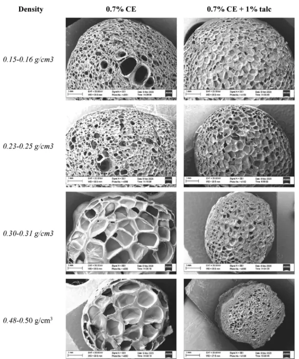 Fig. 5. SEM images of rPET foam samples with different densities; left: with talc and right: without talc (CE: Chain extender).