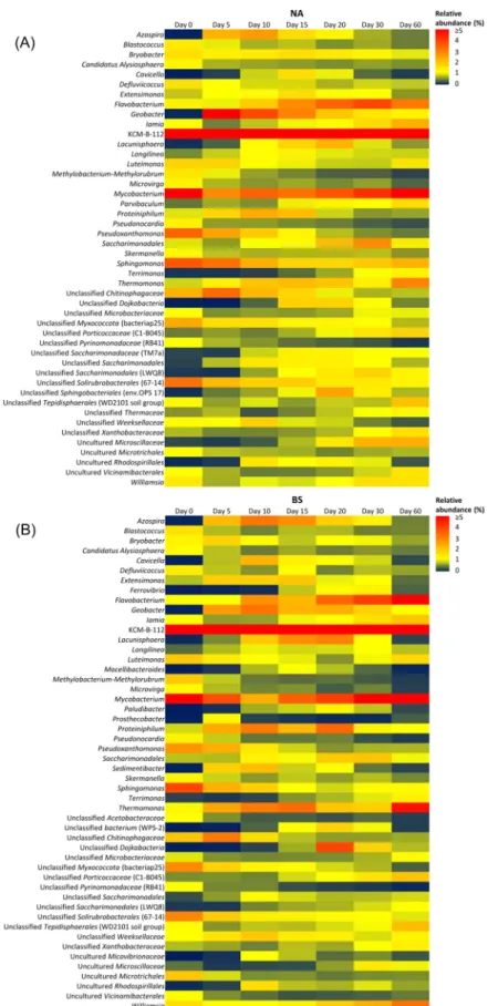 Fig. 3. Heatmap plots, showing the changes of the most abundant bacterial genera in the polluted soils subjected to (A) natural attenuation (NA), (B) biostimulation  (BS), (C) biostimulation, and the addition of the extracellular organic matter from Microc