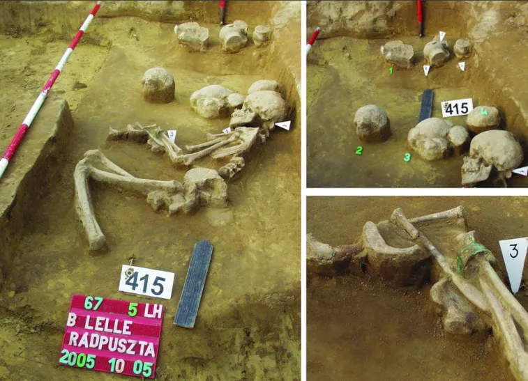 Fig. 5. Balatonlelle-Rádpuszta, Site 67/5, the 8–9-year-old boy interred in Grave 415 and the skulls deposited in the burial (the  green numbers denote the skulls, the white numbers the grave goods) (after B ondár  &amp; S zécSényi -n agy  20020, Fig