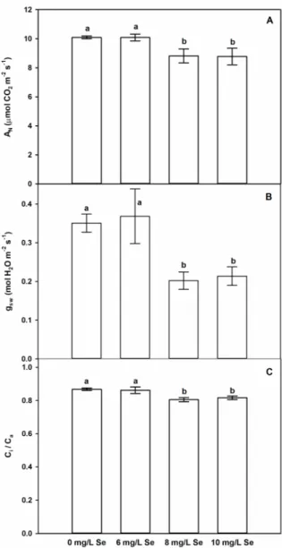 Figure 4. Selenium reduces CO 2 assimilation of Stevia leaves due to stomatal limitation