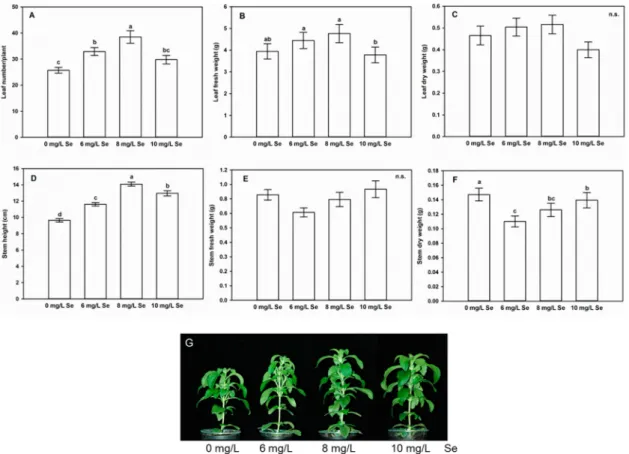 Figure 1. Selenium treatment affects shoot growth of Stevia rebaudiana L. Leaf number/plant (A), leaf fresh weight (g), (B), leaf dry weight (g), (C), stem height (cm), (D), stem fresh weight (g), (E) and stem dry weight (g), (F) of control (0 mg/L Se), 6,