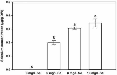 Figure 2. Foliar application of sodium selenate increases endogenous Se content of Stevia leaves.