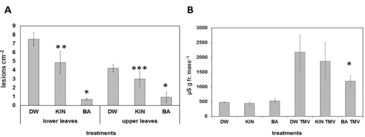 Figure 3. Effect of water (DW), kinetin (KIN), or benzyladenine (BA) pre-treatment on TMV infection on Xanthi nc