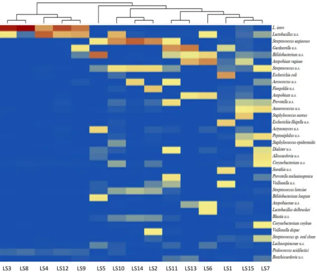 Figure 4.  Heatmap visualization of the 35 most abundant taxa at species level among the LS patients