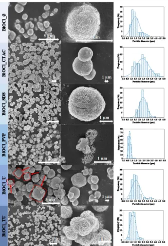 Figure 2. The SEM micrographs of the obtained BiOCl catalyst materials using different additives