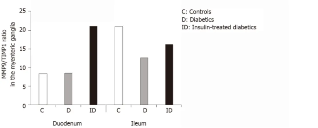 Figure 6 The ratio of matrix metalloproteinase 9 and tissue inhibitor-labeling gold particles in myenteric ganglia of different gut segments  of control, diabetic, and insulin-treated diabetic rats