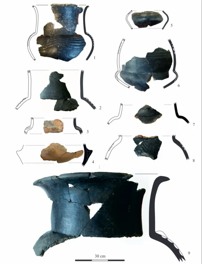 Fig. 31 Large storage vessels. 1: Type A.5; 2, 8, 9: Type A.6; 5, 7: Type A.7; 3, 6: Type A.8; 4: Type A.9 31