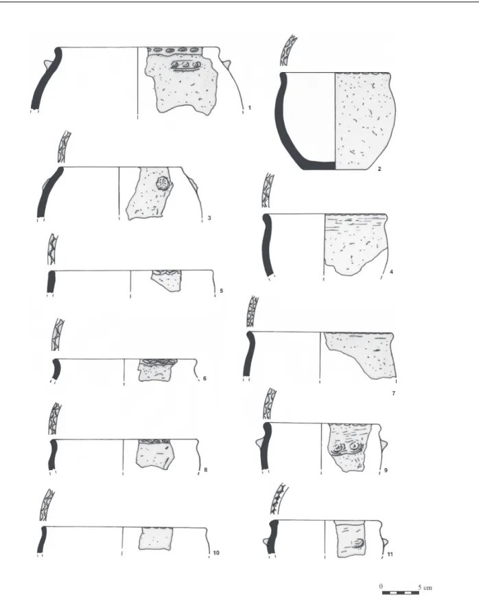 8. kép Karcsa-Sérhomok, kerámiatöredékek  Fig. 8 Karcsa-Sérhomok. Pottery finds 