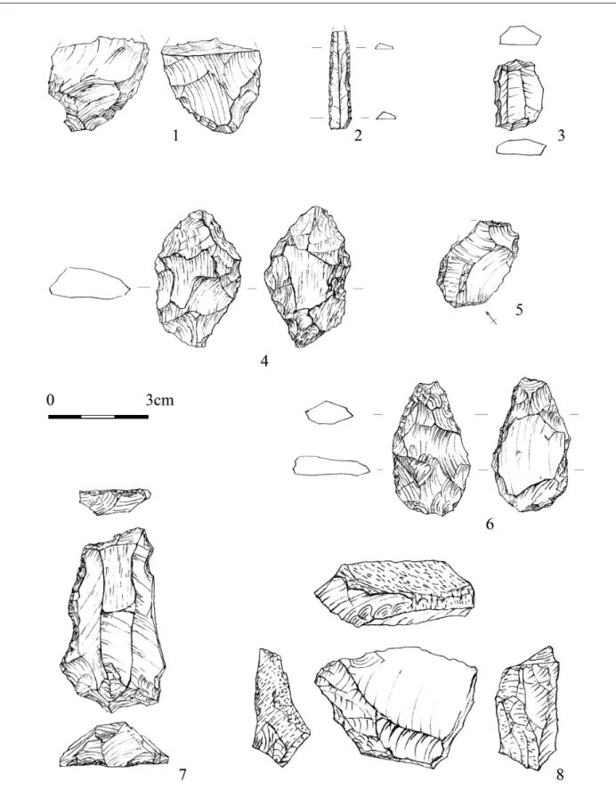 Fig. 8 Szeleta cave: artefacts from artefact-bearing layer 3/b (drawings by K. Nagy)  8