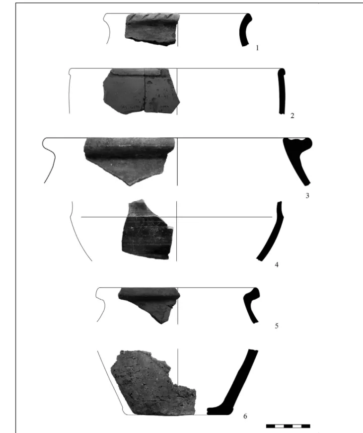 Fig. 14 Trench i. 1–3, 6: 90–105 cm; 4–5: 105–120 cm