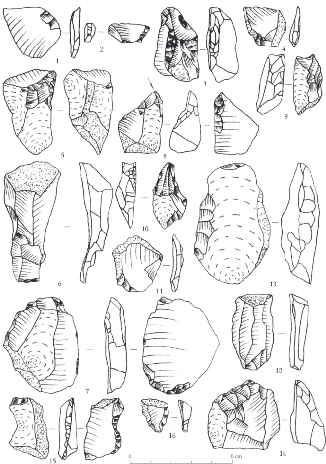 Fig. 9. Stone artifacts from 1/2018 sondage in Stará Ľubovňa – Lesopark site: 1, 4, 11 – flakes, 2, 16 –  fragments of retouched blades or flakes, 3, 9, 10 – perforators, 5 – initial core, 6 – crested blade of the  second series, 7 – combined tool end-scra