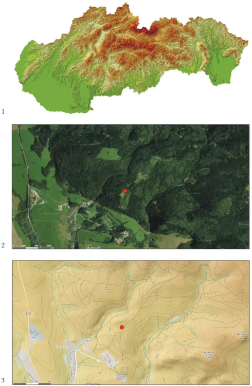 Fig. 1. The location of Stará Ľubovňa – Lesopark site: 1 – in the area of Slovakia, 2 – site location in  terms of vegetation cover, 3 – in the relation to landforms.