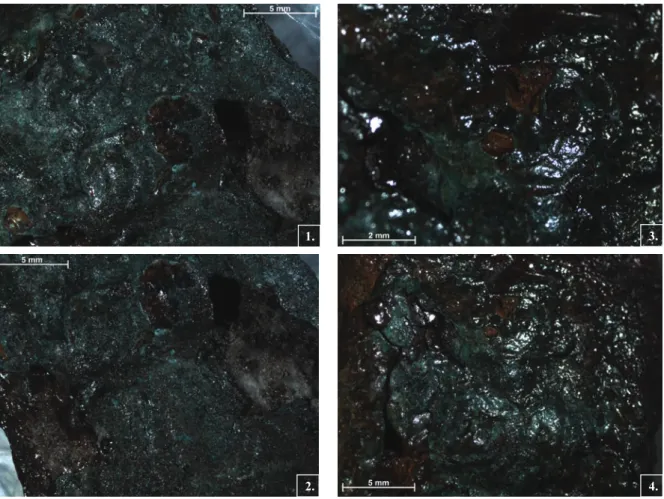 Fig. 4. 1–2 – The woman on the fibula Nr. 1. Fig. 4, 3–4 – The woman on the fibula Nr