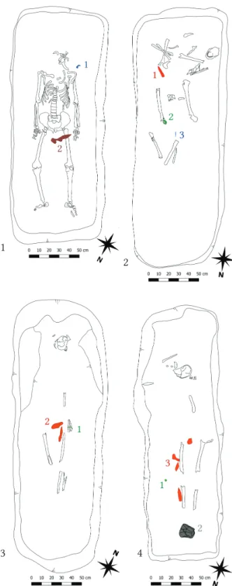 Fig. 5. Abony-Tatárhányás-dűlő II (33295). 1 – male  grave  with:  1  –  iron fibula,  2  –  iron  object  (knife  or  buckle?),  2  –  male  grave  with:  1  –  iron  knife,   2 – bronze belt buckle, 3 – bronze garment  acces-sory,  3 – grave of a child w