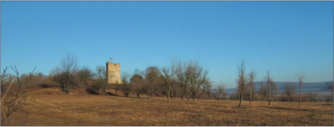 Fig. 1. The castle hill from the southeast (Photo: F. Erdősi). 