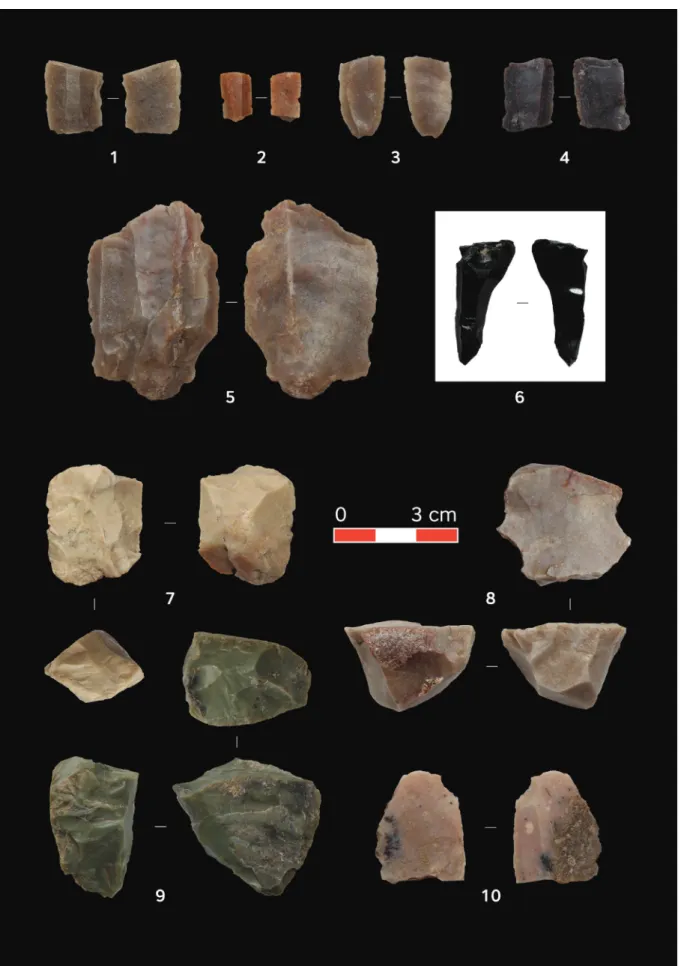 Fig. 3. Grd-i Tle, knapped lithics. 1–6, 10 – debitage products from regular blade production, 7–8 –  exhausted single platform cores, 9 – exhausted narrow fronted blade core, 1–5, 7–10 – limnic silicite,  6 – obsidian (photos: A