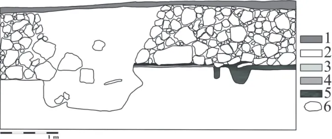 Fig. 9. Profile 2. 1 – Ash and charcoal with a red-burnt layer, 2 – Blackish-brown humus, 3 – Disturbed,  mixed earth, 4 – Red-burnt layer with ash, 5 – Yellow clayey sand, 6 – Limestone.