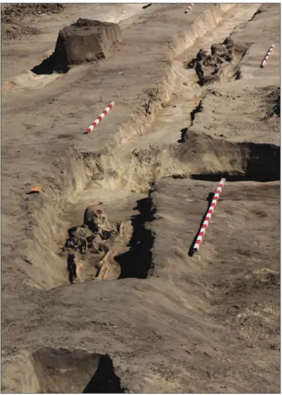 Fig. 3. M44-05 – Cserkeszőlő-Szőlők. Inhumations on the bot- bot-tom of a ditch.