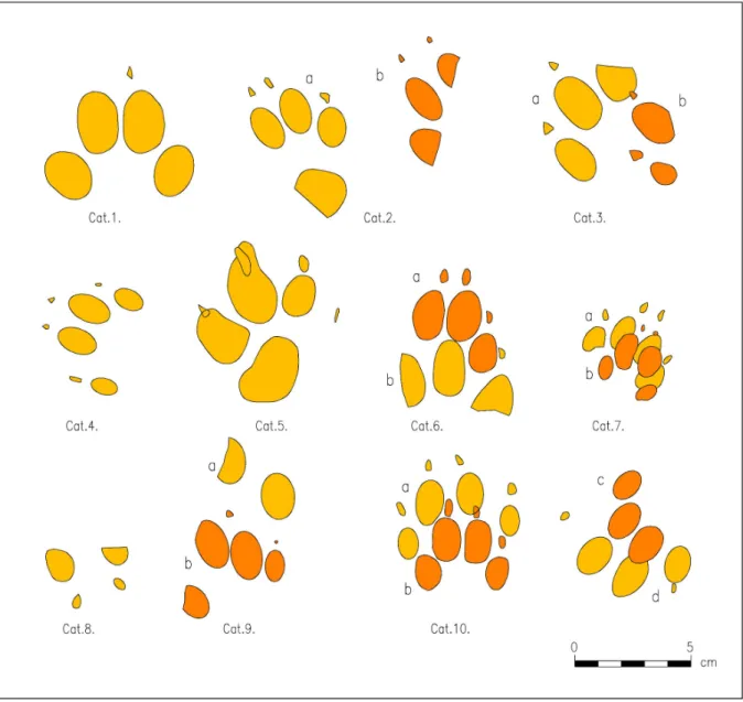 Fig. 2. Dog footprints from Brigetio (Drawings: L. Dobosi).
