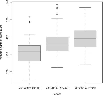 Fig. 6. Increase the withers heights of cows between the 10th to 18th century.