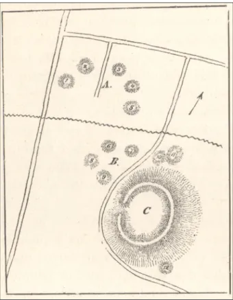 Abb. 8. Vaskút-Hügel. Im Compte-rendu veröffent- veröffent-lichte Skizze (Rómer 1878, 132, fig