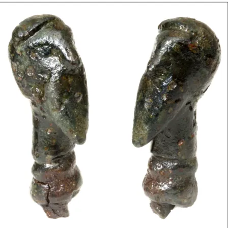 Fig. 1. Bronze head with nodus from Aquincum (Photo: P. Komjáthy).