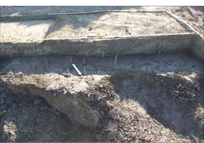 Fig. 3. Test excavation of the site. Note the horizontal arrangement of the artifacts marked by sticks.