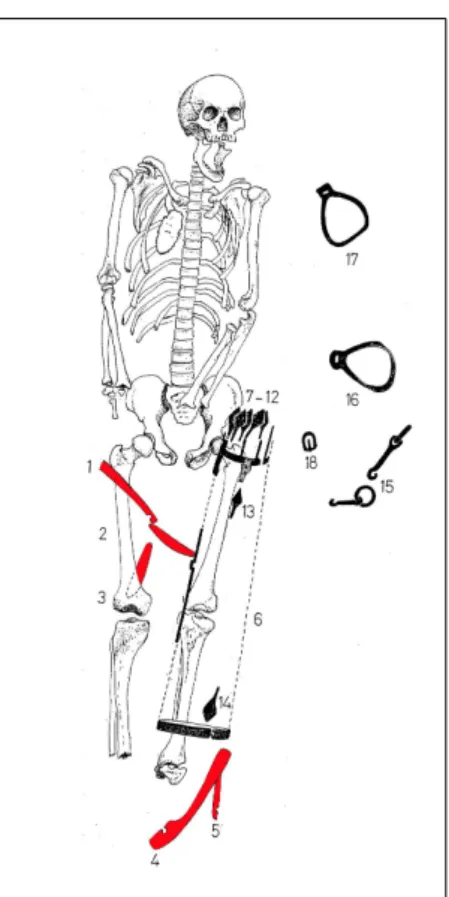 1 11 Szőllősy 2002, fig. 2.