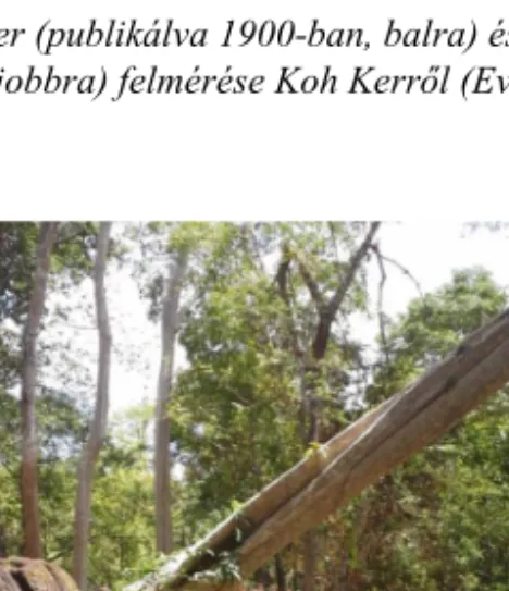 5. kép Kidőlt trópusi fa által rongált falszakasz, Koh Ker (a szerző felvétele) 