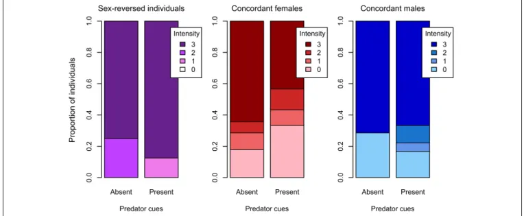 FIGURE 4 | Intensity of response to the startling stimulus with and without predator cues in sex-reversed individuals (XX males), concordant (XX) females, and concordant (XY) males in experiment 2 (0: no movement, 1: slight movement, 2: swimming away appar