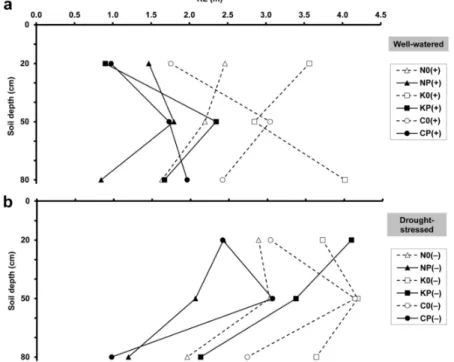 Figure  3.  Maximum  root length  (RL)  at  20, 50 and 80 cm  soil depths,  obtained  by minirhizotron  image analysis, under (a) well‐watered and (b) drought‐stressed conditions.  For treatment codes,  see Figure 1. 