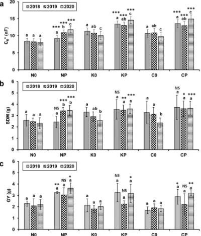 Fig. 3. (a) Saturation root electrical capacitance (C R *, mean±SD, n = 45) at anthesis, (b) shoot dry mass per plant (SDM, mean±SD,  n = 15) at anthesis, and (c) grain yield per plant (GY, mean ± SD, n = 3, calculated from plot grain mass) for wheat culti