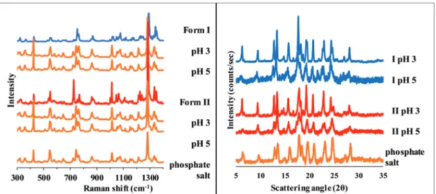 Fig. 9 Raman spectra (left) and XRPD diﬀractogram (right) of carvedilol dihydrogen phosphate anhydrate, Form I, Form II and the solid phase of carvedilol polymorphs isolated from solubility suspensions from the measurements at pH 6.5 in BR.