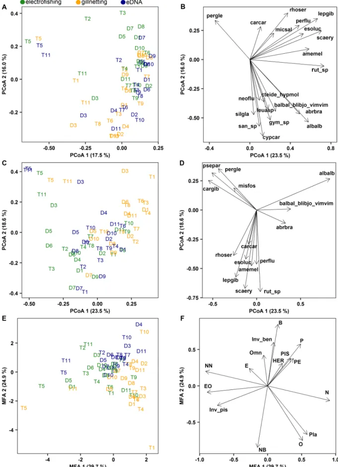 Fig. 3. Principal coordinate analyses of the sampled 22 oxbow lakes (D1-D11 and T1-T11) based on taxa composition (presence/absence) (A) and relative abundance  of taxa (C), and their associated taxa loadings (B, D)