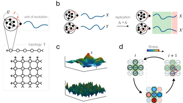 Figure 1.  Schematic illustration of component processes of recurrent Darwinian neurodynamics